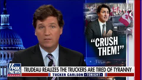 Tucker Carlson: Lawmakers are panicking over this