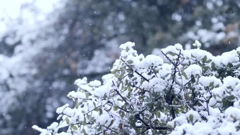 4K Wonderland: Relax and Rewind with Beautiful Views