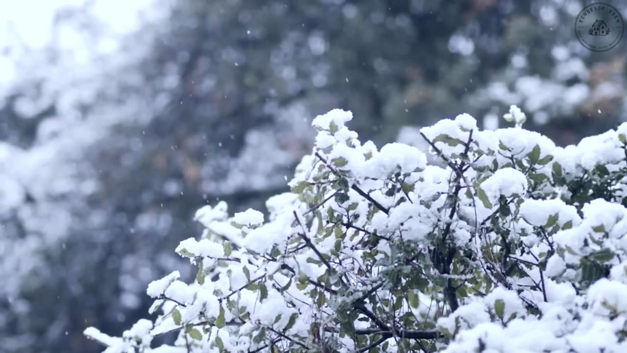 4K Wonderland: Relax and Rewind with Beautiful Views