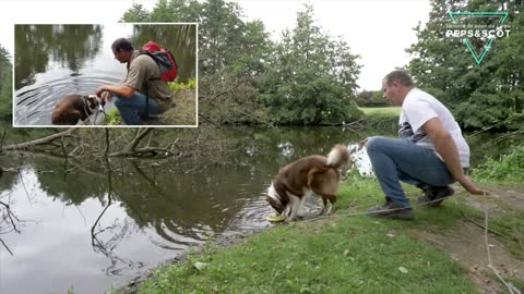 Mon chien à peur de l eau