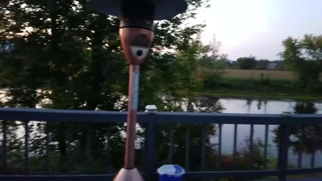 My back yard!