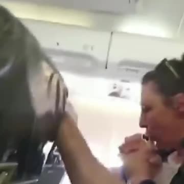 Frenéticos gritos y súplicas a bordo de un Boeing 777 que volaba de Londres a Singapur