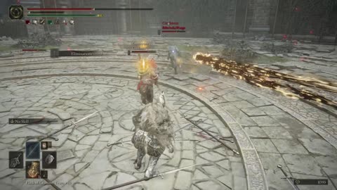 Arena Fights Are the Best Update So Far!!