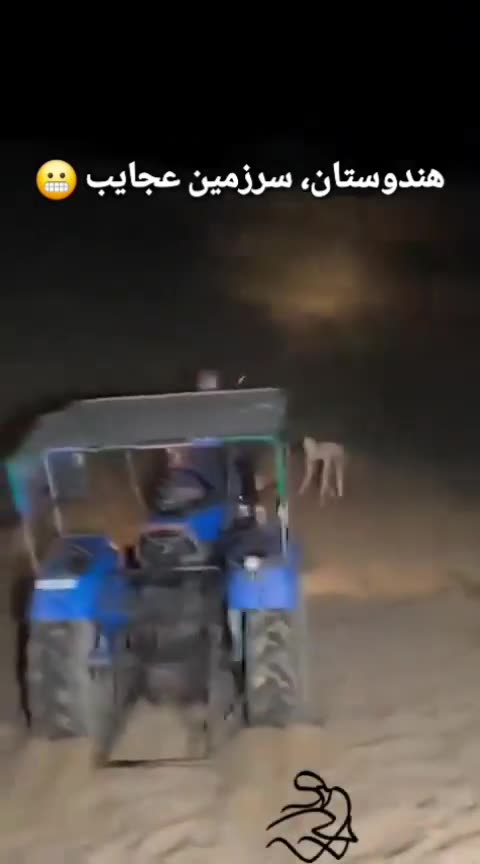 Crawlers? USL Uncharacterized Subterranean Life Form? What Are These Things?