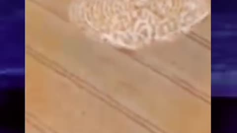 Flash information...