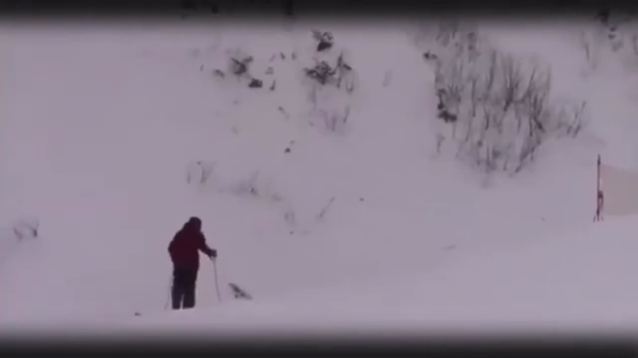 "Funny Fails Compilation: Woman Slips in Christmas Tree, Ice & Battery Skating Slips!"