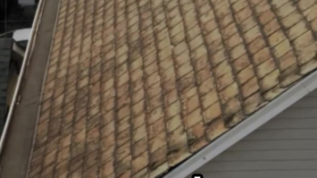 Essential Home Maintenance - The Roof