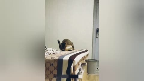 Funny Cat ( Fun #1 )