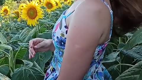 Wonderful sunny day