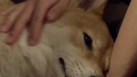 I'm a good boy.