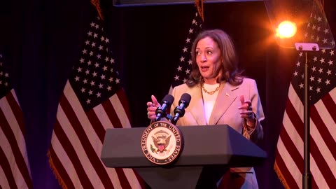 'We're the underdogs' Kamala Harris tells her supporters
