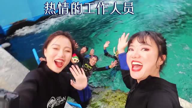How do you play in Ocean Park? Unexpectedly, I can swim with devil fish!