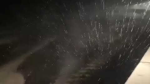 Tampa bay water flows out only means 1 thing Tsunami coming back