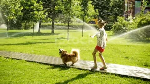 A dog plays and has fun with his girlfriend in the garden