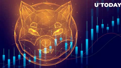 SHYTOSHI REVEALED A 7 DAY PLAN FOR SHIBA INU TO HIT $3.00! - SHIB NEWS