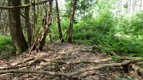 🚶🌳#Analyzing @ Old Quarry Trail & Water Taxi Adventure In Ottawa 🚕🌊