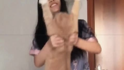 Cute little cat, saving the world