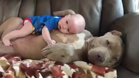 Cute Baby and Dog 🐕❤️