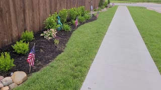 MEMORIAL DAY DECO 2022