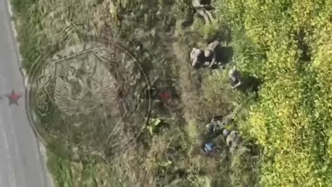 Russian drone airdrops a grenade on a column on Ukrainian infantry in the Kursk Region
