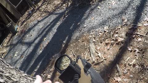 Binary Trigger System on the Ruger Charger!
