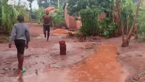 Funny Videos Clips