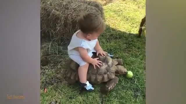 Funny Baby Videos The 100 Funniest Moments Baby Meet Animal