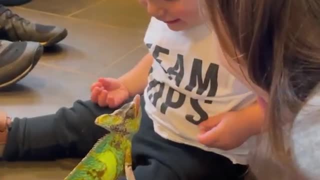 Baby got Scared of the Lizard - Funny Video