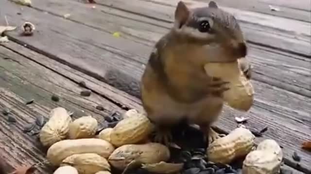 When YOU refuse to share food 😎😂
