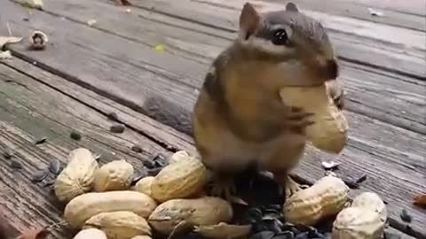 When YOU refuse to share food 😎😂