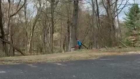 The end 😂😂😂 #viral #shorts #reels #fails #funny #mmvfunny