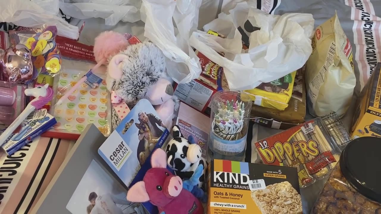 Shopping Haul Big Lots, Dollar Tree & Burkes.