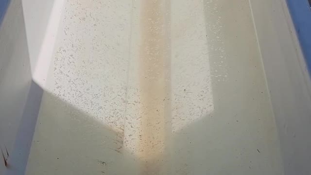 Flow test
