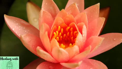 Relaxing Meditation Music Healing Meditation Music