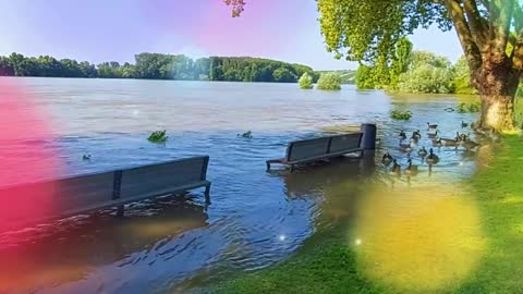 relax is necessary, in your precious time