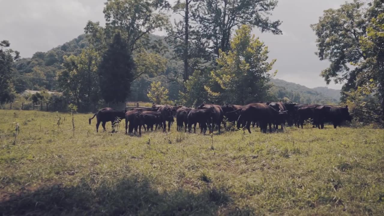 Off the grid w/ Thomas Massie