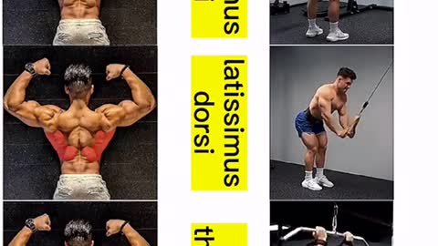 Best Exercises