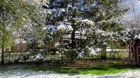 Late spring