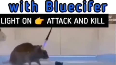 BLUCIFER