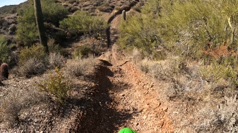 Monkeybutt_adv singletrack motorcycle ride