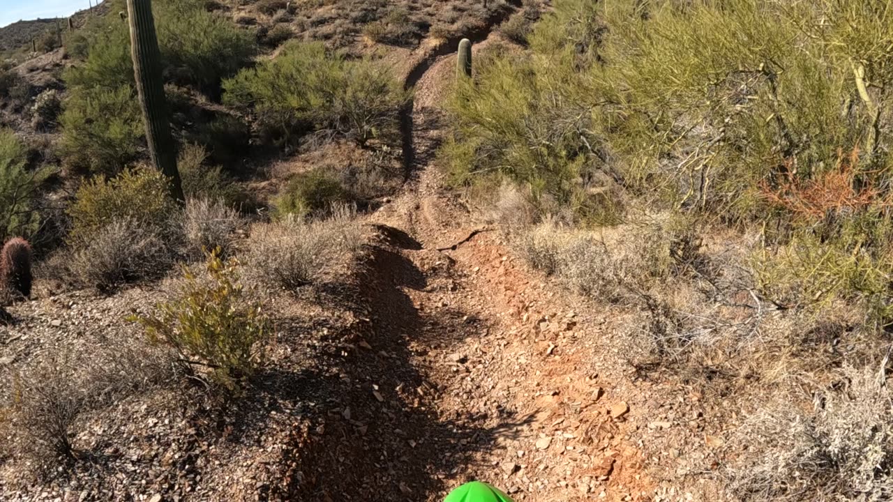 Monkeybutt_adv singletrack motorcycle ride
