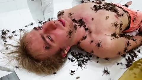 Face Your Biggest Fear To Win $800,000
