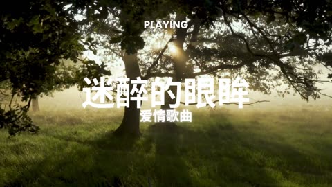 爱情序曲 - 爱情歌曲 2024