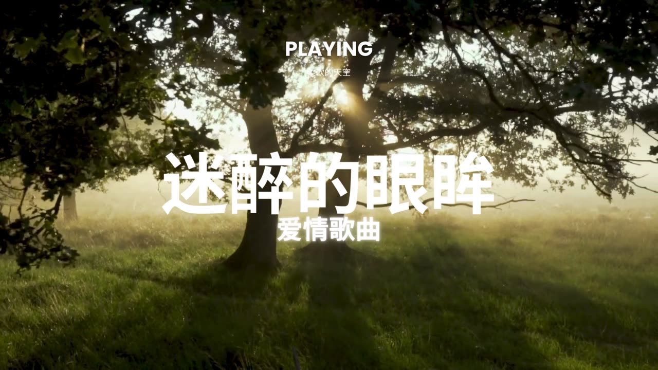 爱情序曲 - 爱情歌曲 2024