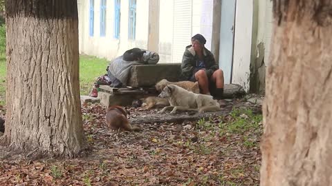 Mature homeless woman with a dogs sits on the steps of the building