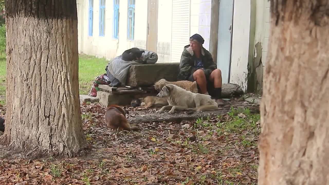 Mature homeless woman with a dogs sits on the steps of the building