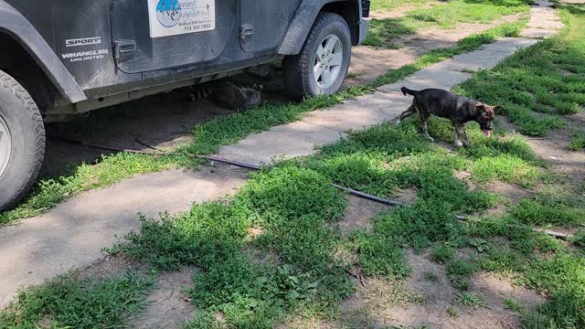 Jerry and Mara Take a Quick Break