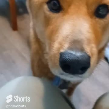 he saved the best for last