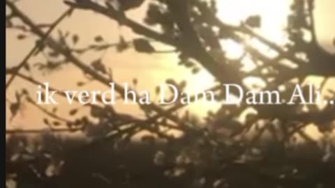 Dam Dam Ali