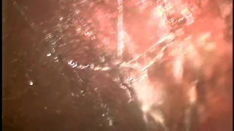 Sewer Camera 111 Hamilton Avenue Wstfld